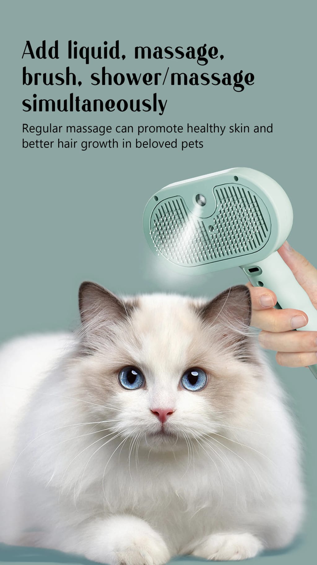 Pet steam brush