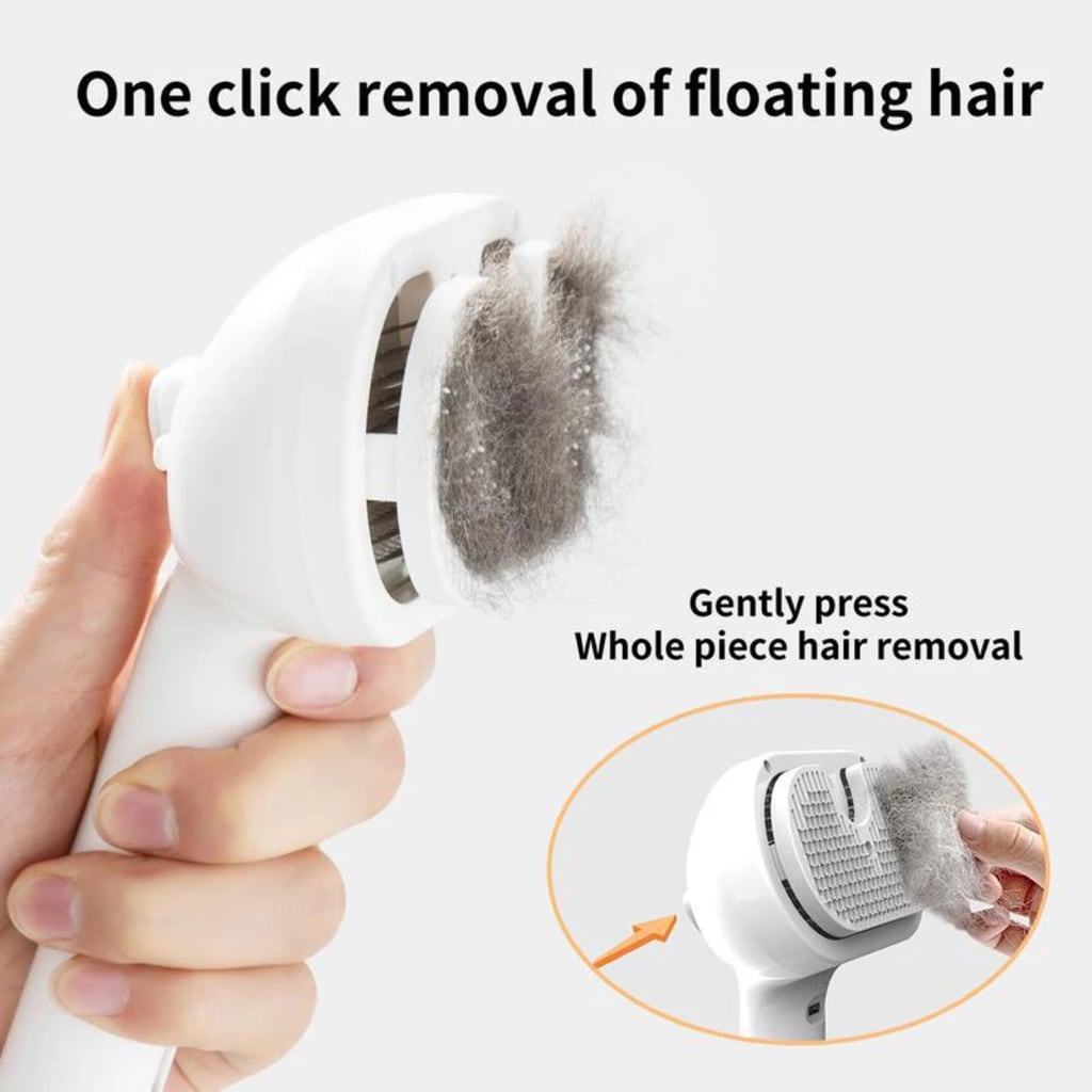 Pet steam brush